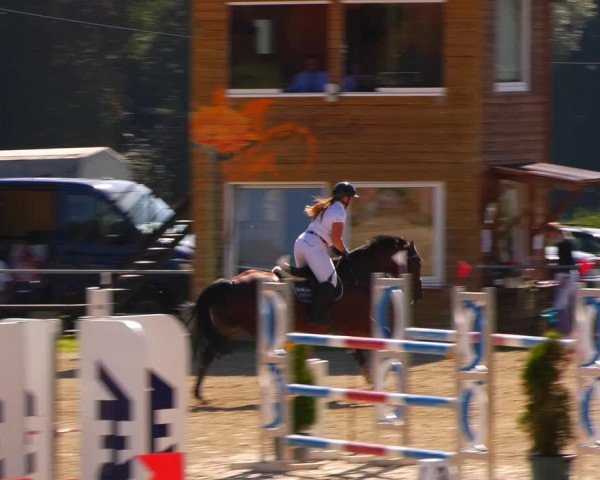 Reitturnier Bad Liebenstein/Sorga 2023