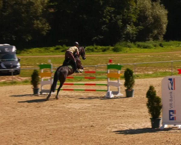Reitturnier Bad Liebenstein/Sorga 2023