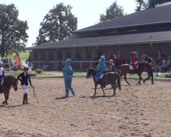 Reitturnier Münchehofe 2023