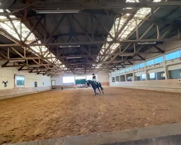 Reitturnier Einbeck 2023