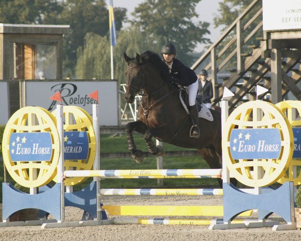 jumper Dahoud (Rhinelander, 2013, from Diar Noir)