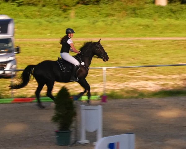 Reitturnier Bad Liebenstein/Sorga 2023