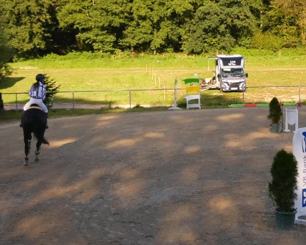 Reitturnier Bad Liebenstein/Sorga 2023