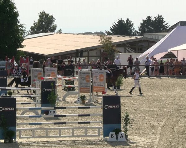 Reitturnier Leichlingen-Witzhelden 2023