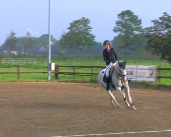 Reitturnier Hooksiel 2023