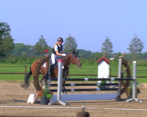 Reitturnier Hooksiel 2023