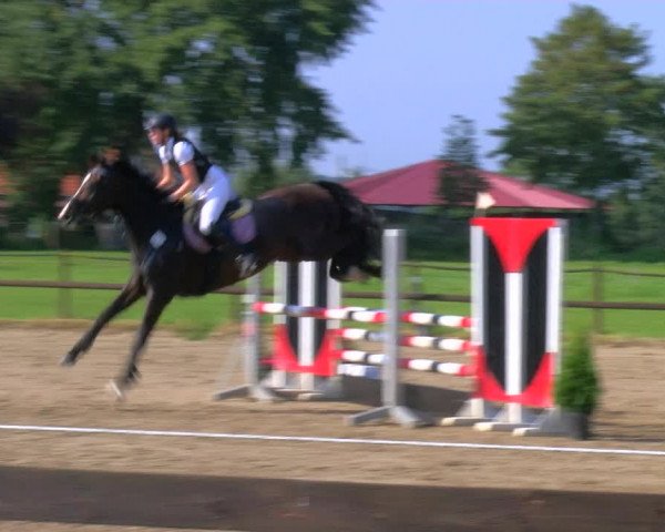 Reitturnier Hooksiel 2023