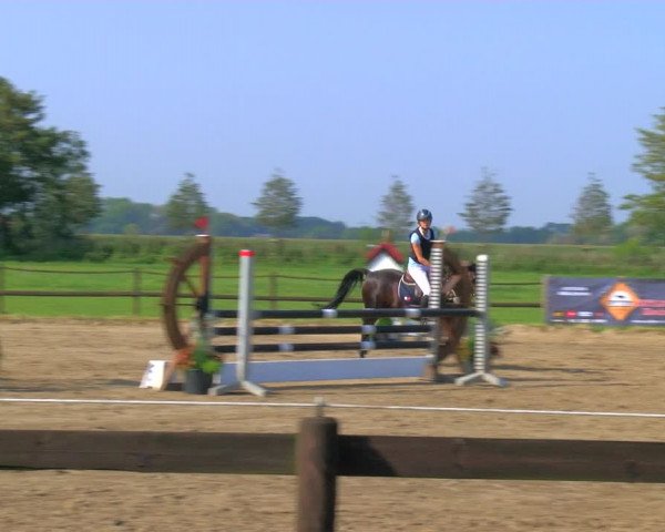 Reitturnier Hooksiel 2023