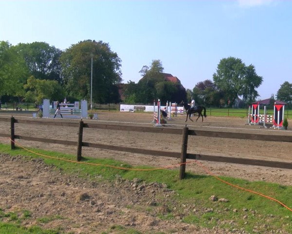 Reitturnier Hooksiel 2023