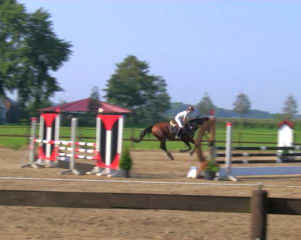 Reitturnier Hooksiel 2023