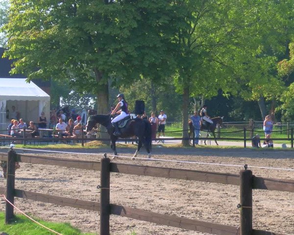 Reitturnier Hooksiel 2023