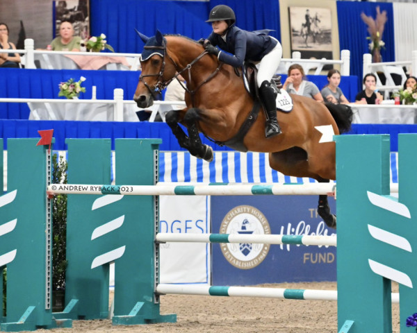 jumper Zg Bella (unknown, 2012, from Rl Quality Show)