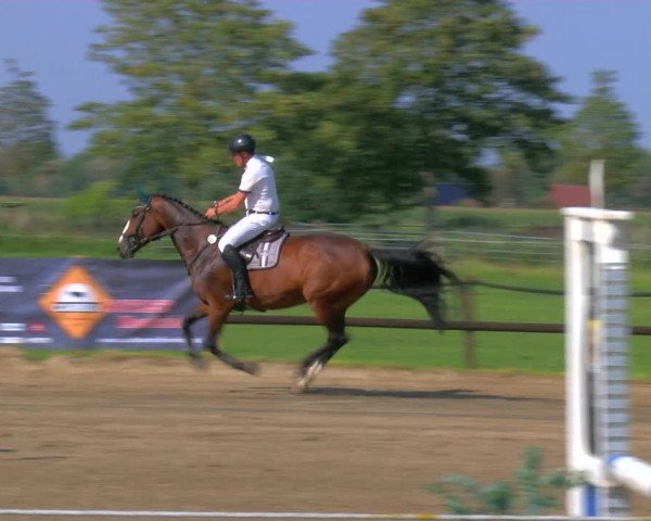 Reitturnier Hooksiel 2023