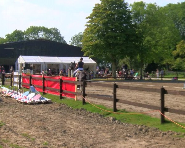 Reitturnier Hooksiel 2023