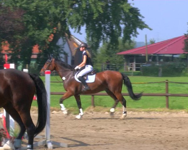 Reitturnier Hooksiel 2023