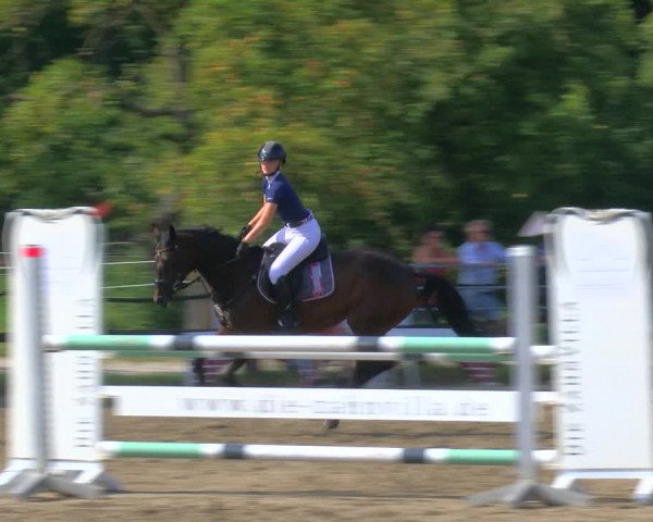 Reitturnier Hooksiel 2023
