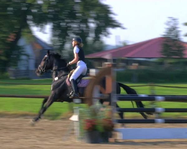 Reitturnier Hooksiel 2023