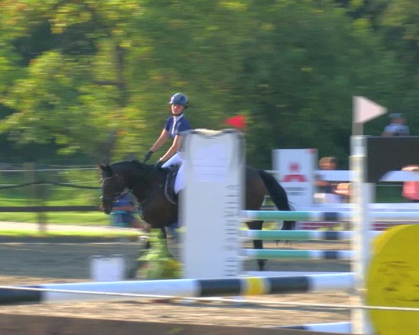 Reitturnier Hooksiel 2023