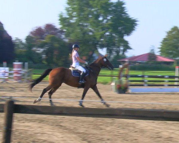 Reitturnier Hooksiel 2023
