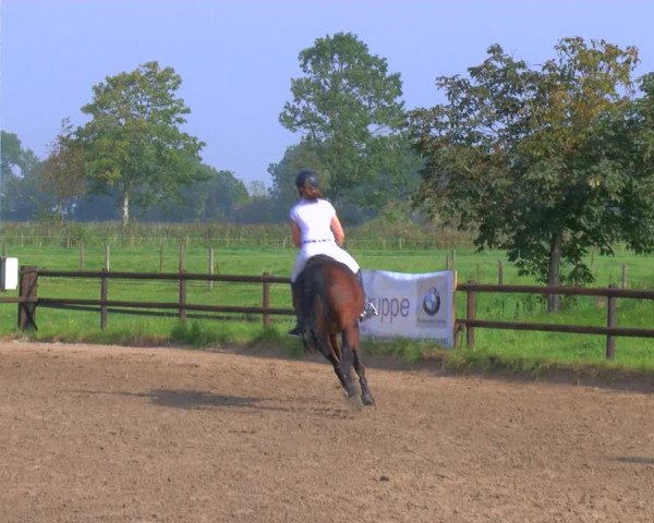 Reitturnier Hooksiel 2023