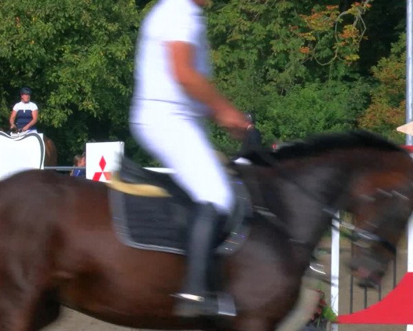Reitturnier Hooksiel 2023