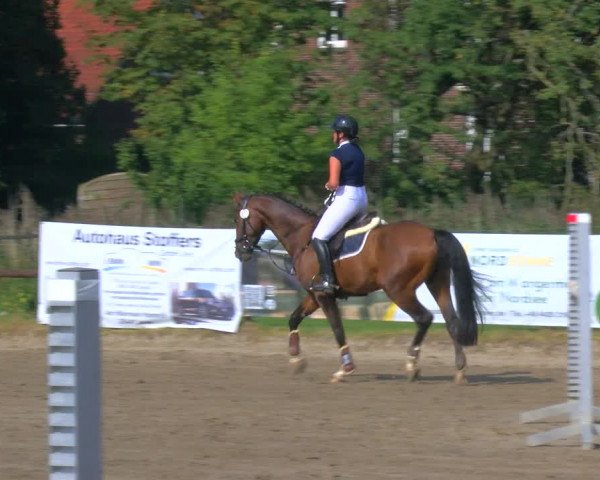 Reitturnier Hooksiel 2023