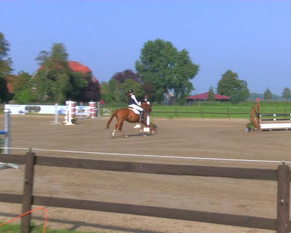 Reitturnier Hooksiel 2023