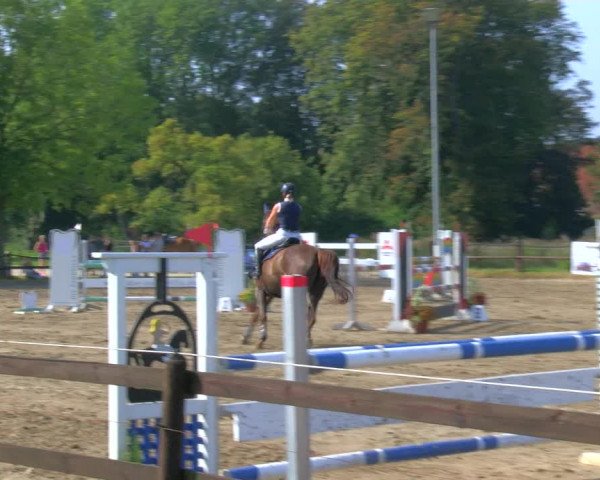 Reitturnier Hooksiel 2023