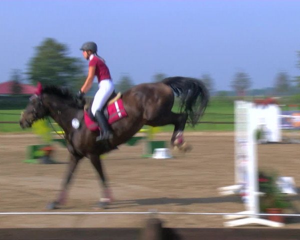Reitturnier Hooksiel 2023
