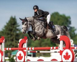 jumper Funk Yeah (Hanoverian, 2014, from HH Messenger)