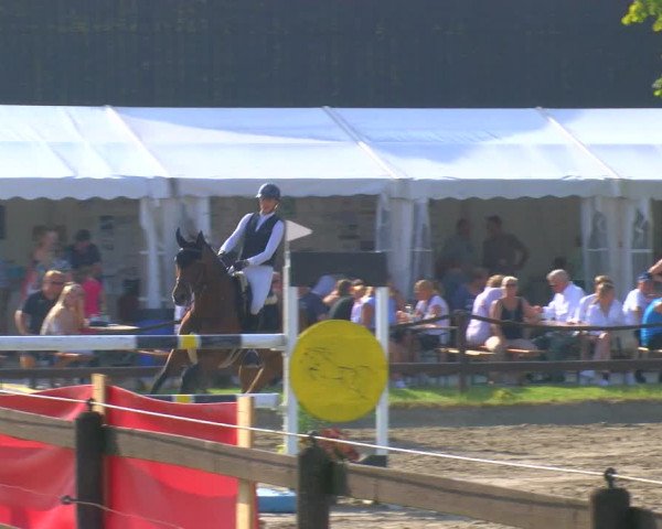 Reitturnier Hooksiel 2023