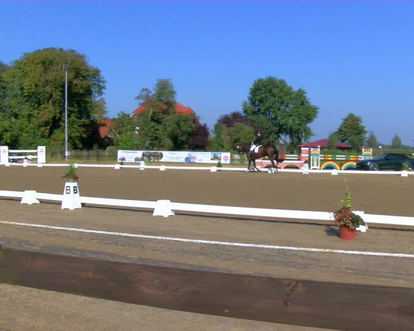 Reitturnier Hooksiel 2023