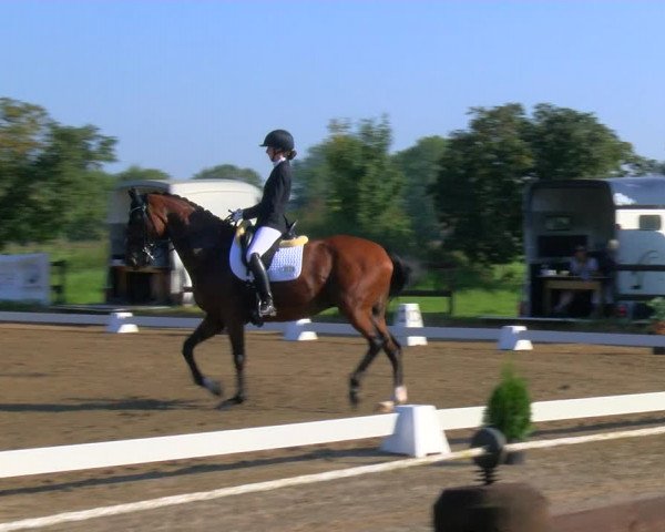 Reitturnier Hooksiel 2023