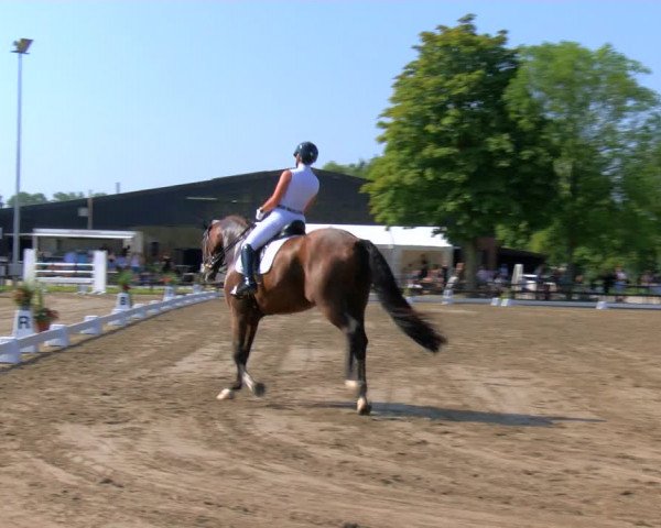 Reitturnier Hooksiel 2023