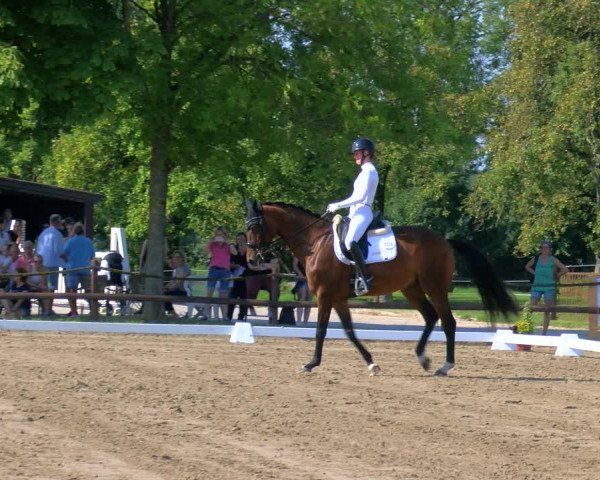 Reitturnier Hooksiel 2023
