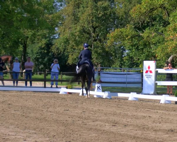 Reitturnier Hooksiel 2023
