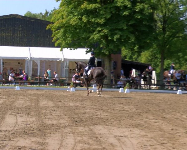 Reitturnier Hooksiel 2023