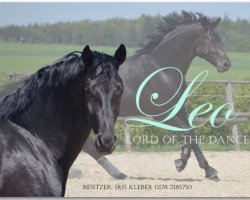 dressage horse Leo Lord of The Dance (Oldenburg, 2013, from Lord Leopold 7)