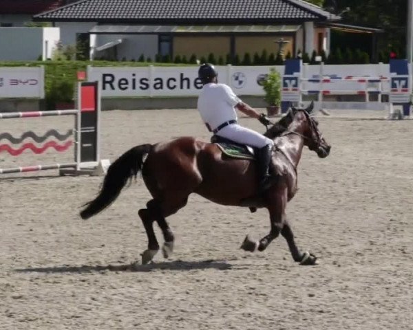 Reitturnier Babenhausen 2023