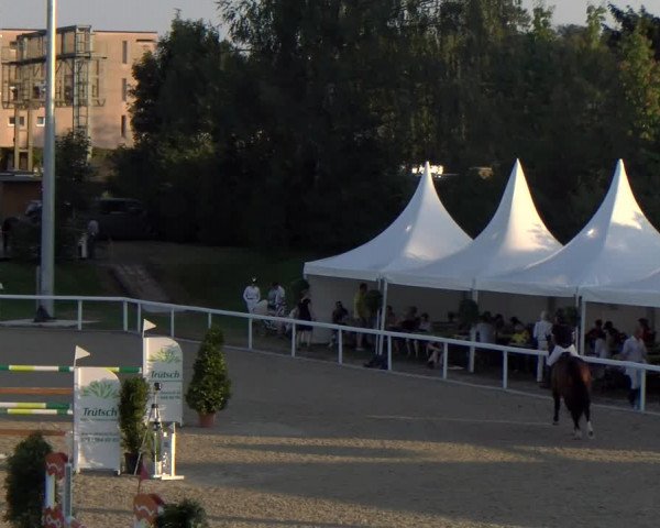 Reitturnier Bülach 2023