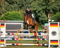 jumper Chabalou 5 (Oldenburg show jumper, 2016, from L.b. Casanova)