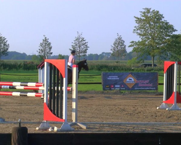 Reitturnier Hooksiel 2023