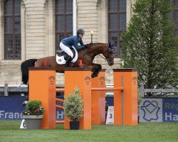 jumper Lilly Pezy (Oldenburg, 2010, from Lord Pezi)