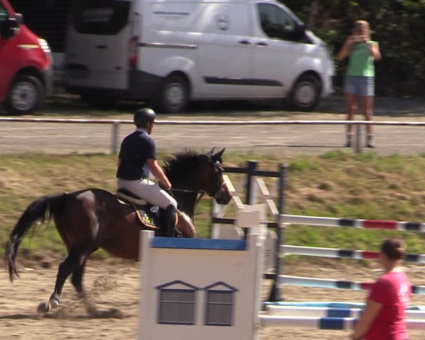 Reitturnier Langenleuba - Oberhain 2023