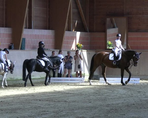 Reitturnier Dortmund-Barop 2023