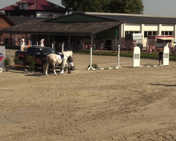 Reitturnier Dortmund-Barop 2023