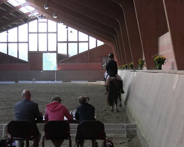 Reitturnier Dortmund-Barop 2023