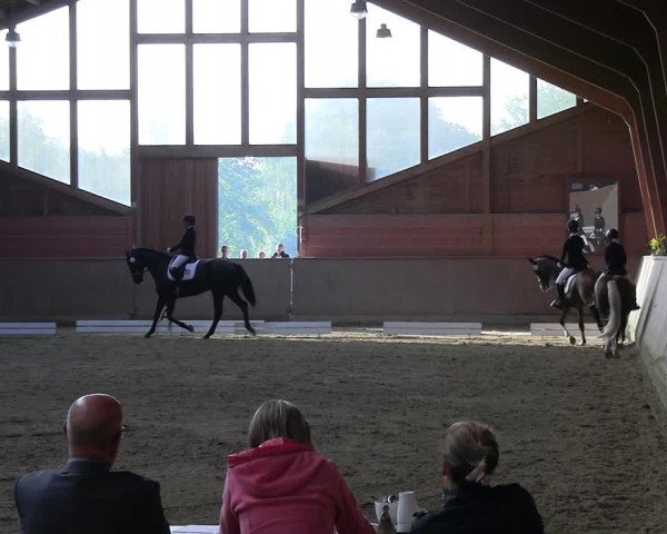 Reitturnier Dortmund-Barop 2023