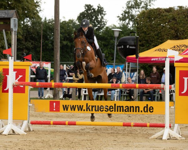 broodmare Caleya 5 (Westphalian, 2013, from Tannenhof's Chambretto Gt)