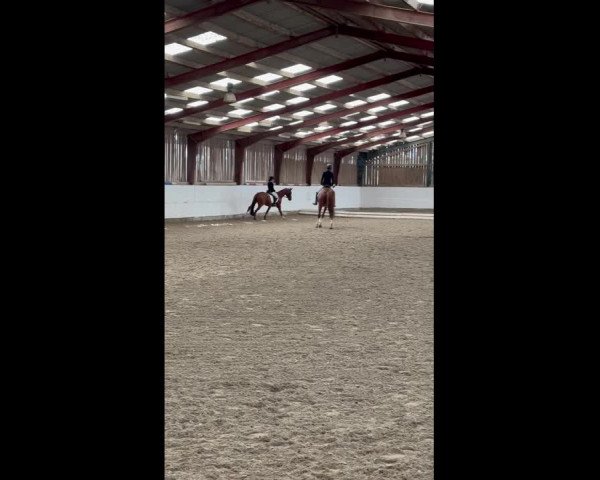 Video of Be Happy 4